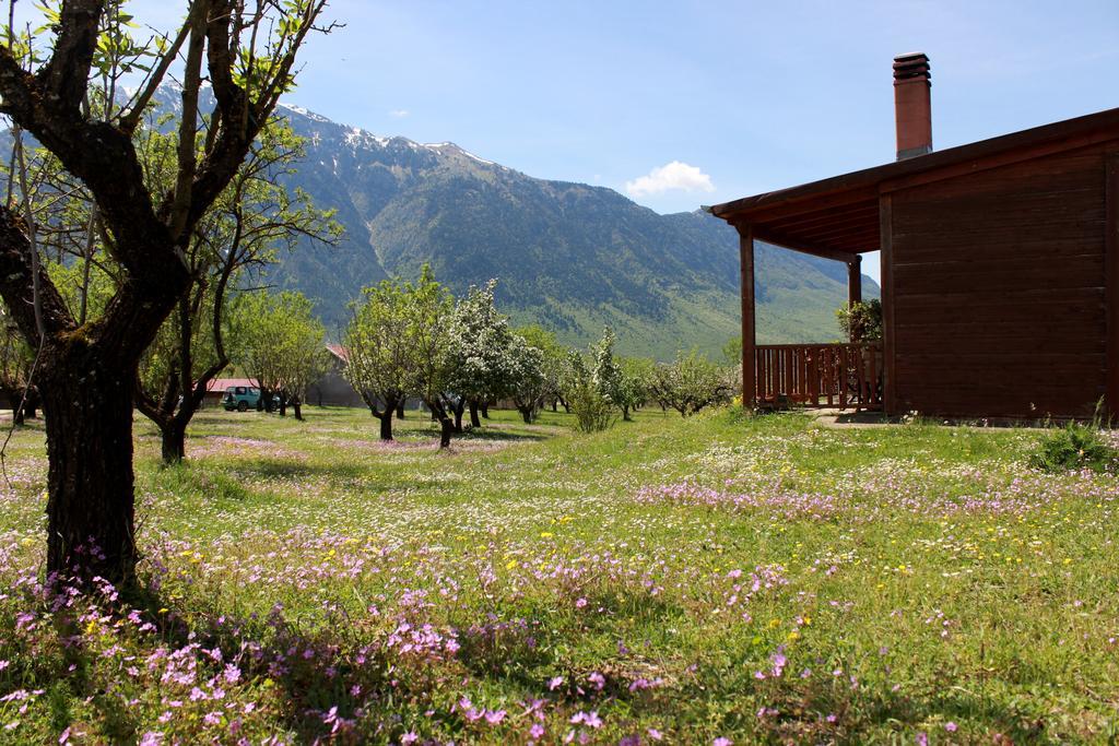 Villa Rustica Конитса Экстерьер фото