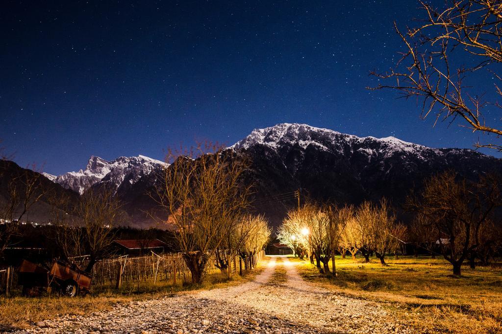 Villa Rustica Конитса Номер фото