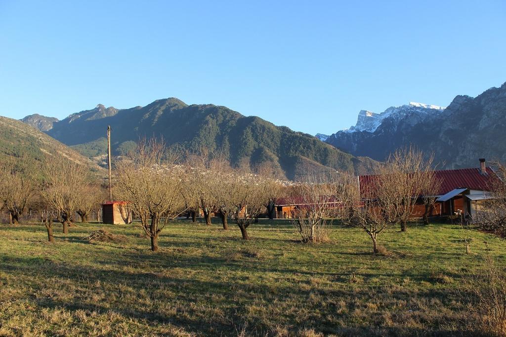 Villa Rustica Конитса Экстерьер фото