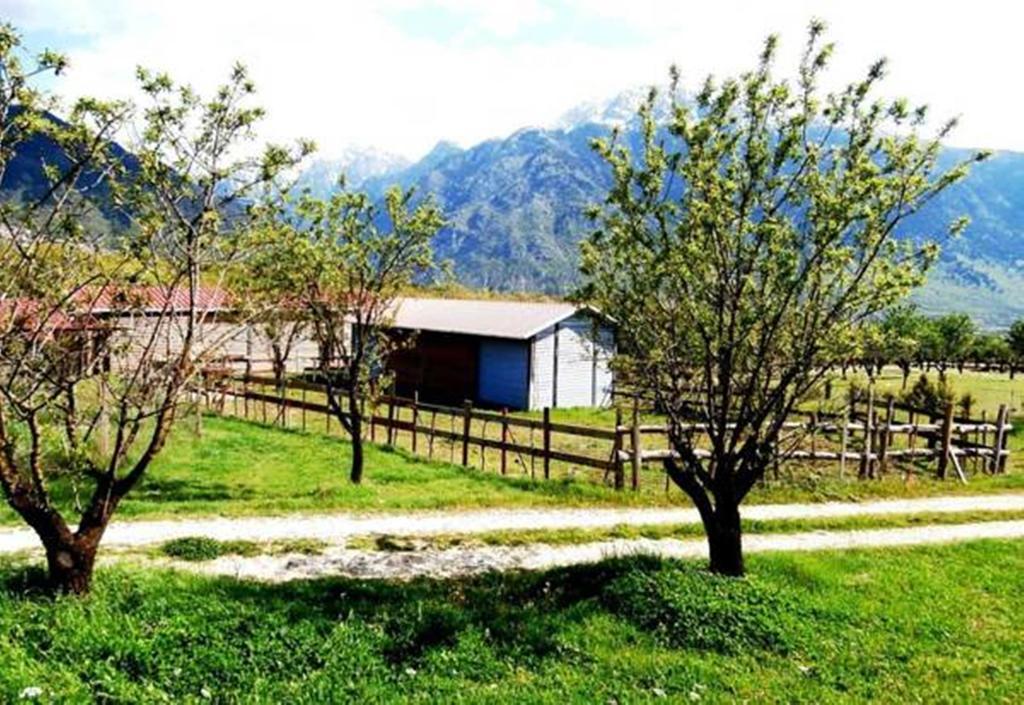 Villa Rustica Конитса Экстерьер фото