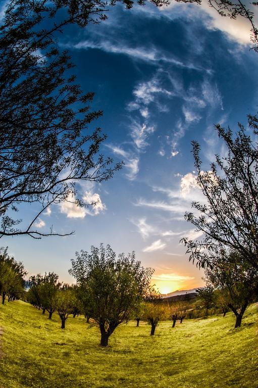 Villa Rustica Конитса Экстерьер фото